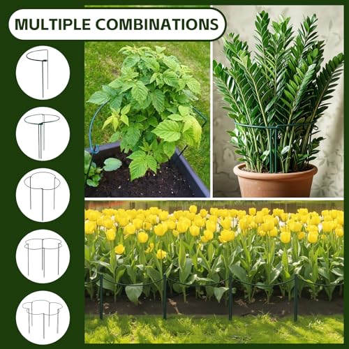 Thealyn 10 Pack Plant Support Stakes, 10" W x 16" H Metal Peony Cages and Supports, Rustproof Half Round Garden Plant Stakes for Indoor Outdoor Plants, Hydrangea, Rose, Tomato, Monstera by Thealyn - Image 3