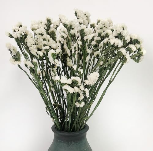 Ramo de flores secas Sea Lavender y Myosotis 22 pulg miniatura 1