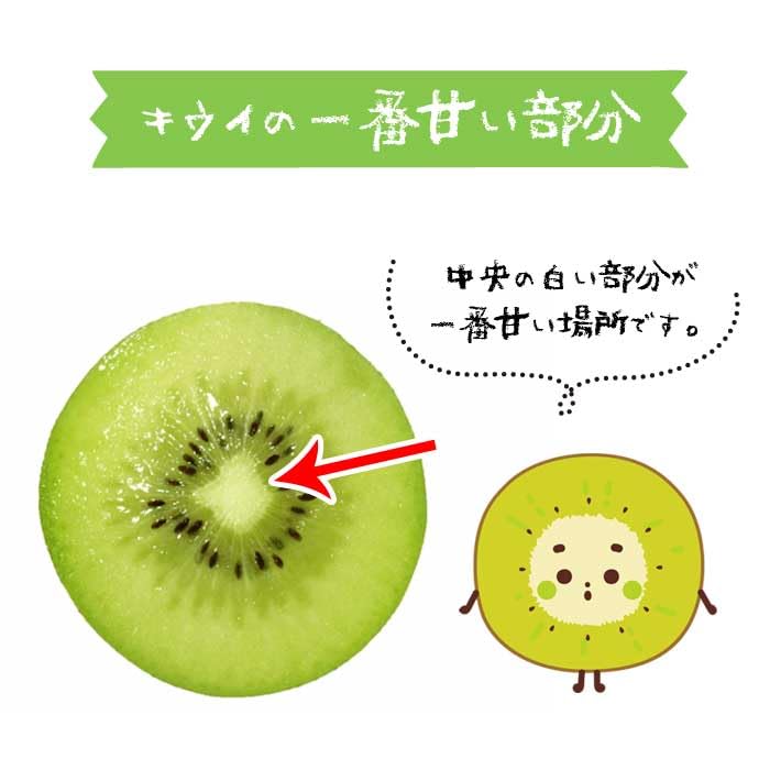 Amazon.co.jp: キウイ ニューエメラルド 15cmポット キーウィ