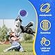 Wham-O Frisbee Go 2er Pack Flugscheibe, 22.86 cm Leichtes buntes Spielzeug-Set für Anfänger Kinder Jungen Mädchen ab 5 Jahren Outdoor Strand Park Garten Spiel - 70g