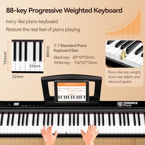 TERENCE Pliable Piano Numérique 88 touches avec Haut parleur 2x25W Batterie de 2000mAh lestées Pédale de Sustain interface MIDI avec support de partitions Bluetooth Sacs pour Piano Câble audio Casque - Les Beatles, Paul McCartney, John Lennon, RIngo Starr, George Harrison TERENCE Pliable Piano Numérique 88 touches avec Haut parleur 2x25W Batterie de 2000mAh lestées Pédale de Sustain interface MIDI avec support de partitions Bluetooth Sacs pour Piano Câble audio Casque – Image 4