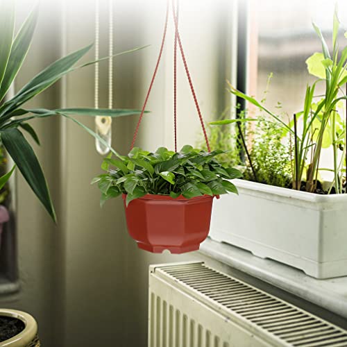 GANAZONO 15 Conjuntos De Vasos Suspensos De Plástico Conjunto De De Flores Suspenso Orifício De Dren