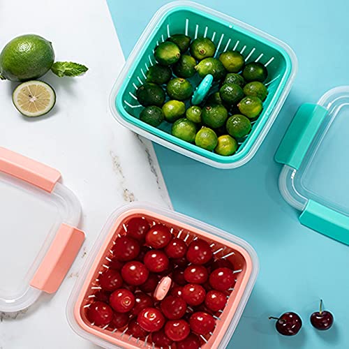 Scatole per il pranzo, scatole per l'imballaggio degli alimenti, contenitori per alimenti Scatola per conservare il frigorifero in plastica con cestello di scarico per la famiglia, può essere utiliz