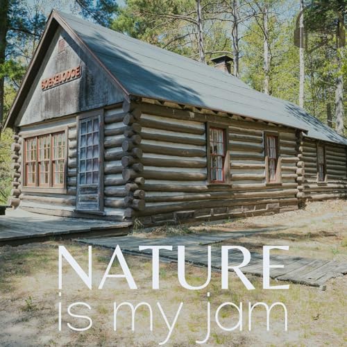 『Sounds of Sleeping Bear Dunes: High Noon at the Boekeloo Lodge』のカバーアート