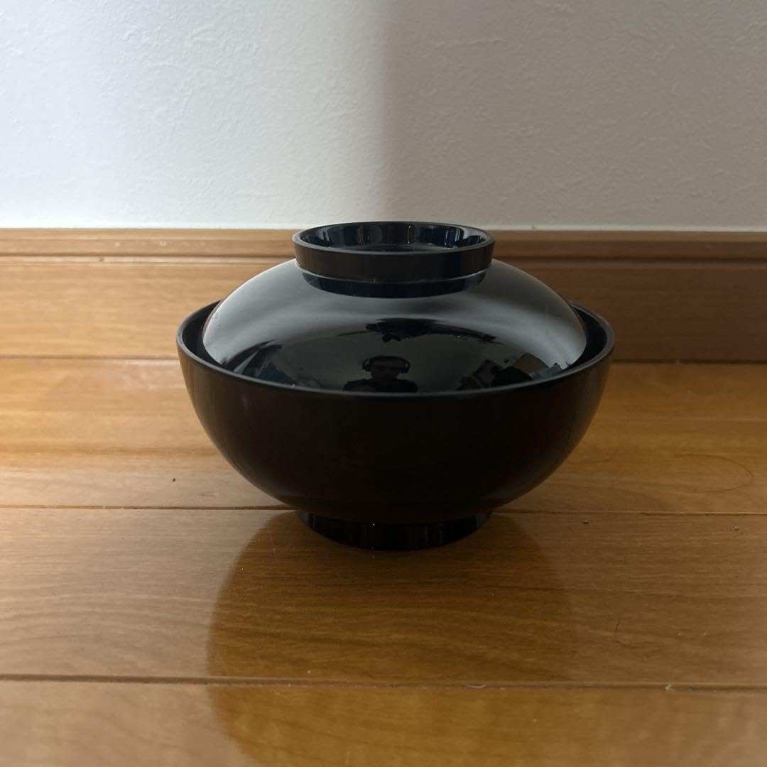 Wajima Lacquerware Wakashima Painting Bowl Traditional Japanese Craft