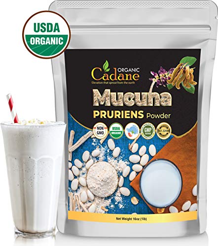 Cadane Organic Mucuna Pruriens Powder 1 Pound | Promotes Brain Health, Supports Immune System, Boosts Energy | Usda Certified Vegan-Friendly Supplements | Pure Natural Velvet Beans Extract From India #TOP5