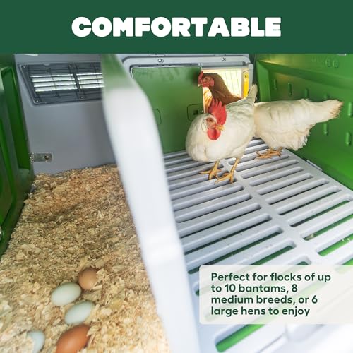 Image of Omlet Eglu Cube Large Chicken Coop | Easy to Clean Plastic Chicken Tractor | The Most Secure Hen House for Complete Peace of Mind | Weatherproof Cool in Summer and Warm in Winter | Green
