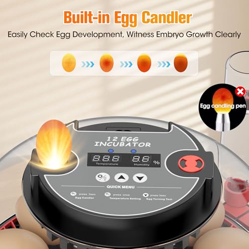 Incubators for Hatching Eggs,12 Egg Automatic Egg Turner with Temperature Humidity Control,Digital Display,Auto Alarm,360° Viewing for Chicken,Quail,Duck Eggs - Image 5