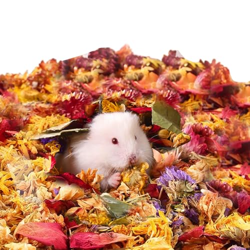 nX^[xbh,SO̊t[^ybgpxbh - 鍁ŃbNXʂ̂}bg n L@\ ^tFbgP[W  lR jgp