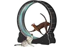 Homegroove Cat Wheel: The Purrfect Exercise Machine for Indoor Kitties