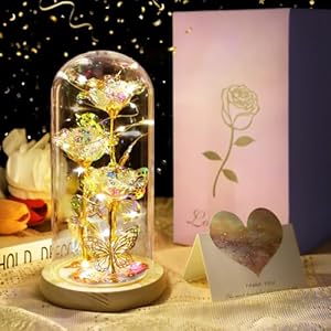 DOUUCO Galaxy Rose Cadeaus voor vrouwen, Valentijnsdag Rose Cadeaus voor haar, LED Eternal Galaxy Rose in Glass Dome Kunstbloem Valentijnsdag Verjaardagscadeaus voor haar moeder, vrouw, zus vrienden
