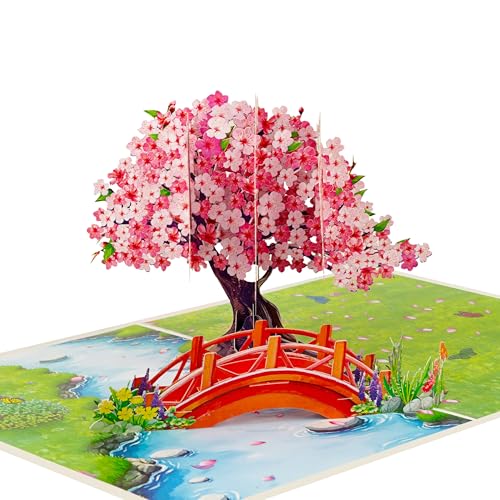 Pop Up Birthday Cards For Women Butterflies And Flowers 3D Birthday