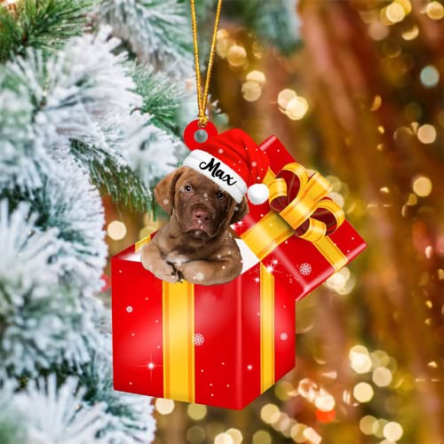 NAZENTI Pesonalized Chesapeake Bay Retriever in Gift Box Ornament 2D Flat, Custom Chesapeake Bay Retriever Dog Ornament Christmas Tree Decoration, Christmas Ornament Hanging Gift for Dog Lover