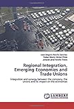  Regional Integration, Emerging Economies and Trade Unions: Integration and synergy between the company, the unions and its impact on the economies