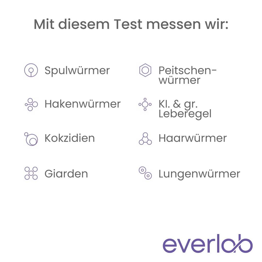 Wurmtest Hund Plus – Umfangreiche Untersuchung auf Parasiten und Würmern| Einfache Probenabnahme| Stuhltest | Selbsttest für Zuhause