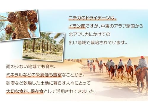 NICHIGA(ニチガ) 完熟 ドライ デーツ 種なし 1.2kg サイヤーデーツ TK0 の商品画像 4