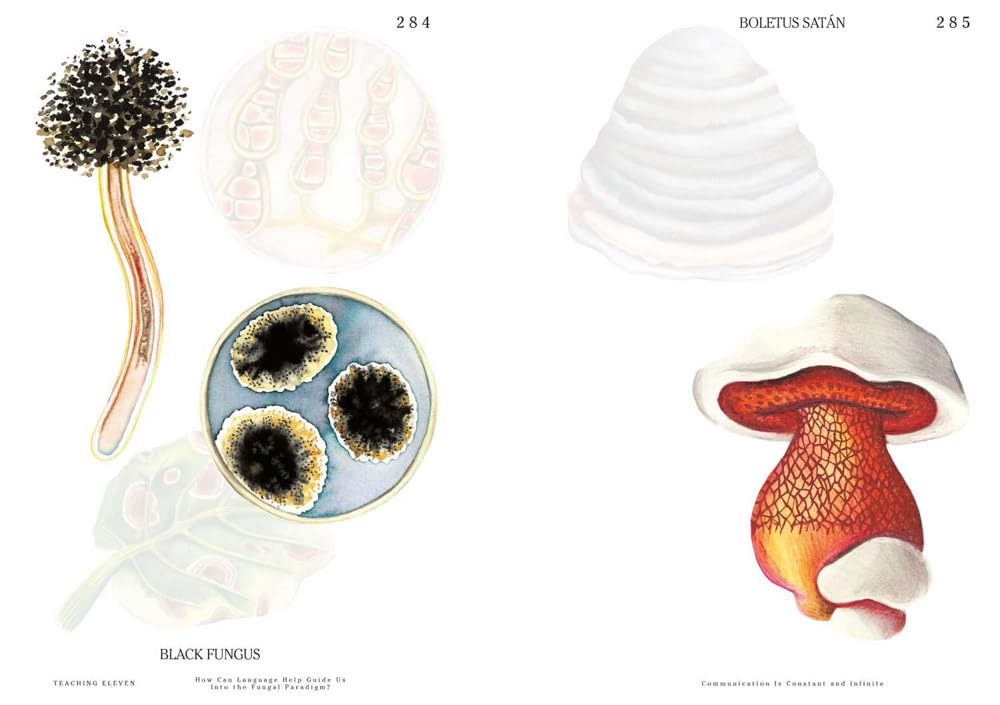 Let's become fungal!: mycelium teachings and arts