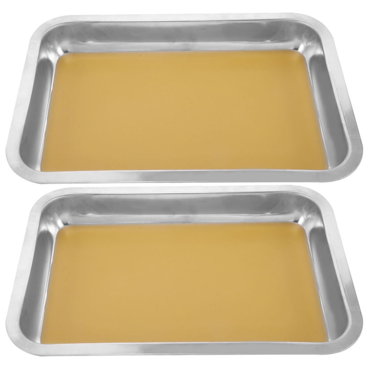GALPADA 2 Piezas Bandeja de Disección Educativa de Acero Inoxidable con Revestimiento de Cera, para Laboratorios de Biología y Enseñanza Científica