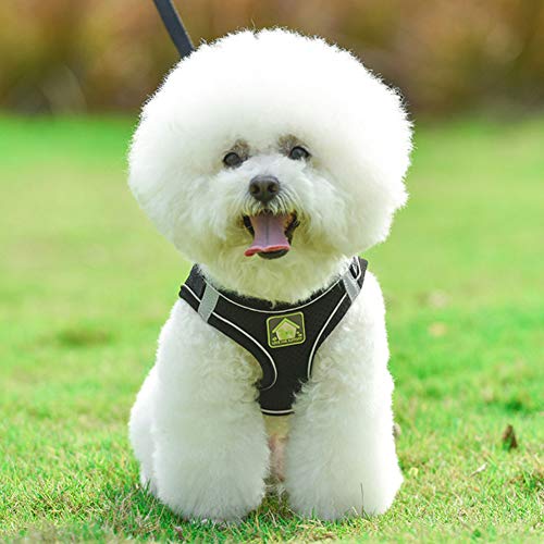 FEimaX Hundegeschirr mit Leine für Kleine Mittele Hunde Katzen Weich Mesh Welpengeschirr Atmungsaktive Brustgeschirr Verstellbare Reflektierend No Pull Weste Chihuahua Katze