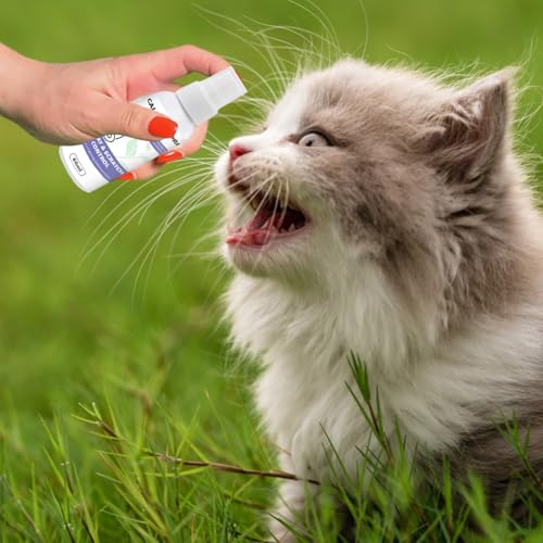Cerioll Pheromone Katzen, Beruhigungsmittel Für Katzen, 60ml Calming Spray, Pet Calming Spray, Anti Stress, Wirkt Schnell & Effektiv Gegen Stress, Alternative Zu Beruhigungstabletten