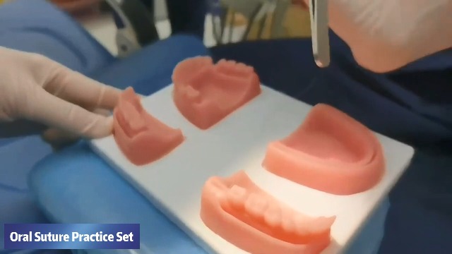 5X Kit Per La Pratica Della Sutura Dentale Kit Per La Pratica Della Sutura Studenti E Pad Di Sutura Per Studenti Veterinari Kit Di Formazione~p197224319