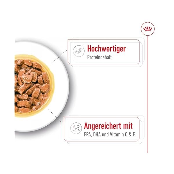Royal Canin Medium Ageing 10+ | 10 x 140 g | Nassfutter für mittelgroße Hunde (11 bis 25 kg) | Ab dem 10. Lebensjahr | Zur Unterstützung des gesunden Alterns – Bild 5