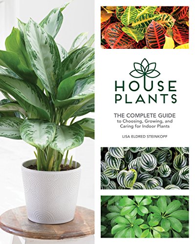 Houseplants: The Complete Guide to Choosing