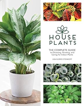 Top Indoor Plants That Will Transform Your Space Forever 2 best indoor plant to have