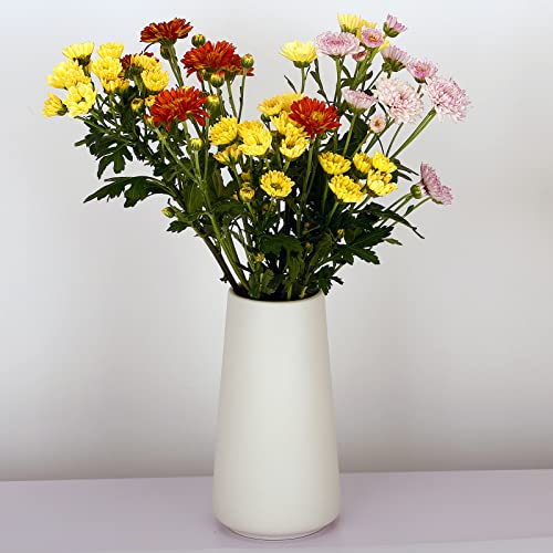 Bobdefu Ceramic White Vase, Simple Vases For Lavender Pampas Grass Dried Flowers Plants thumb #4