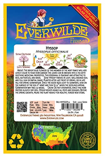 Everwilde Farms Hyssop Herb Seeds Gold Vault Pack #TOP26