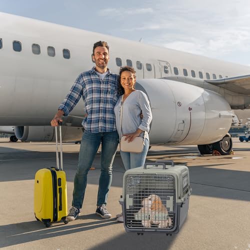 FIVMEN Hundebox Transportbox Hund 80x57x70 cm Hundetransportbox mit Rollen und Eisen Fenstern Türen Tiertransportbox Flugzeugbox für Hunde Flugzeug Auto Reise & Transport