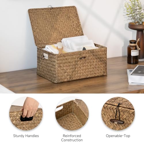 Image of StorageWorks Wicker Basket with Lid, Storage Baskets with Lids, Brown