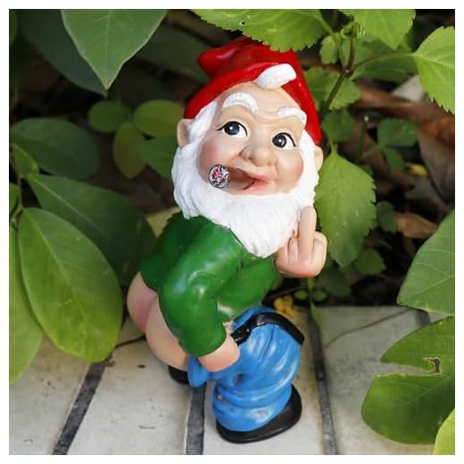 Funny Garden Gnome Statue Outdoor Decor, Middle Finger Figurine Decorations, Naughty Smoking Wizard Gnome Statue, Funny Gnome Figurine for Lawn Yard Balcony Porch Patio Home Ornaments Garden Gifts