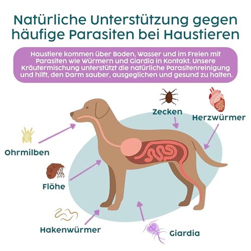 Zanipro Natürliche Wurmkur Hund Tropfen & Katzen – 100% Pflanzliche Entwurmung, Flüssiger Wurmkur-Komplex mit Wermut, Schwarznuss & Quassia – Verdauungs- & Darmunterstützung für Kätzchen | 50ml