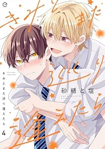 きみとまた巡り逢えたら 4 (エクレアコミックプチ)