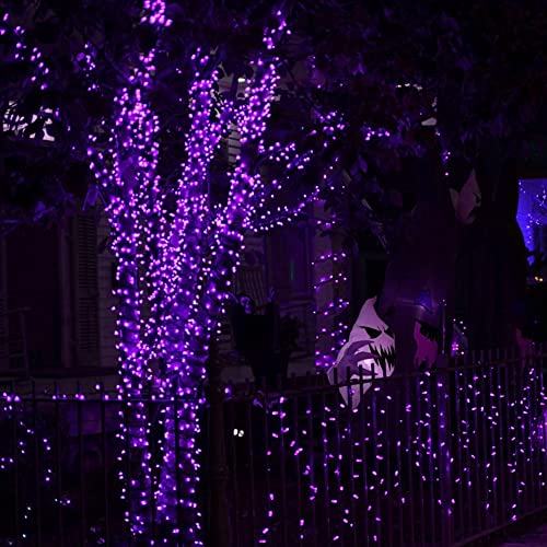 Image of Dazzle Bright 2 Pack Halloween Fairy String Lights, Total 80FT 240 LED Solar Powered Fairy Lights with 8 Modes, Waterproof Copper Wire Lights for Outdoor Christmas Yard Party Patio (Purple)