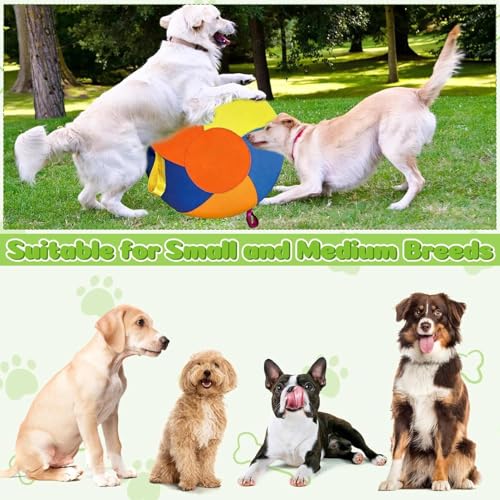 Großer Ball für Hunde, aufblasbarer Anreicherungs- Haustierbedarf, 50 cm, Herdingball für Hunde, für Welpen, klein, mittel, groß, drinnen und draußen, Zuhause, Reisen, Hof, Park-4