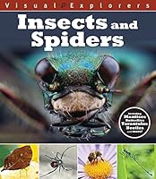 Insects and Spiders 1438008279 Book Cover