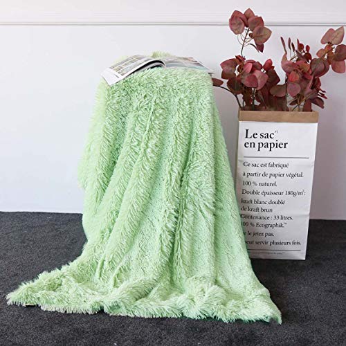 Sleepwish Girls Mint Green Blanket - Decorative Sofa, Couch and Floor Throw - Warm, Cozy, Super Soft Bed or Car Cover - Long Shaggy Hair, Faux Fur, Microfiber Polyester Material - 51 x 63 Inches
