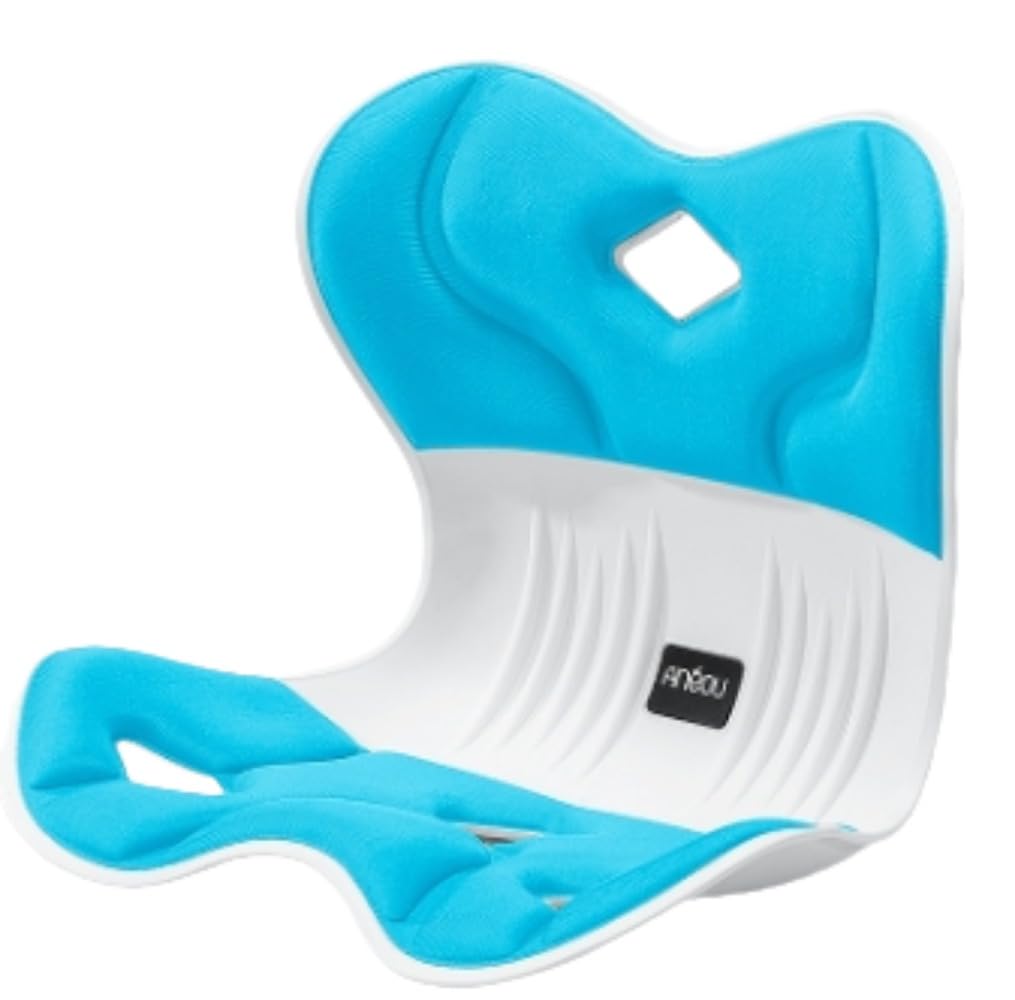 Amazon.co.jp: Apaeofl骨盤サポートチェア 骨盤から腰をサポート 高