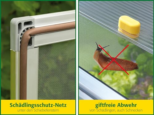 JUWEL Beetsystem Bio Protect 2000 (Frühbeet aus wärmeisolierenden Thermoscheiben, zur Aufzucht von Pflanzen, mit integriertem Schutznetz gegen Insekten) 20148