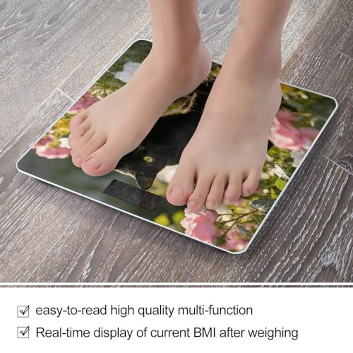 Báscula digital de baño con plataforma de vidrio templado miniatura 5