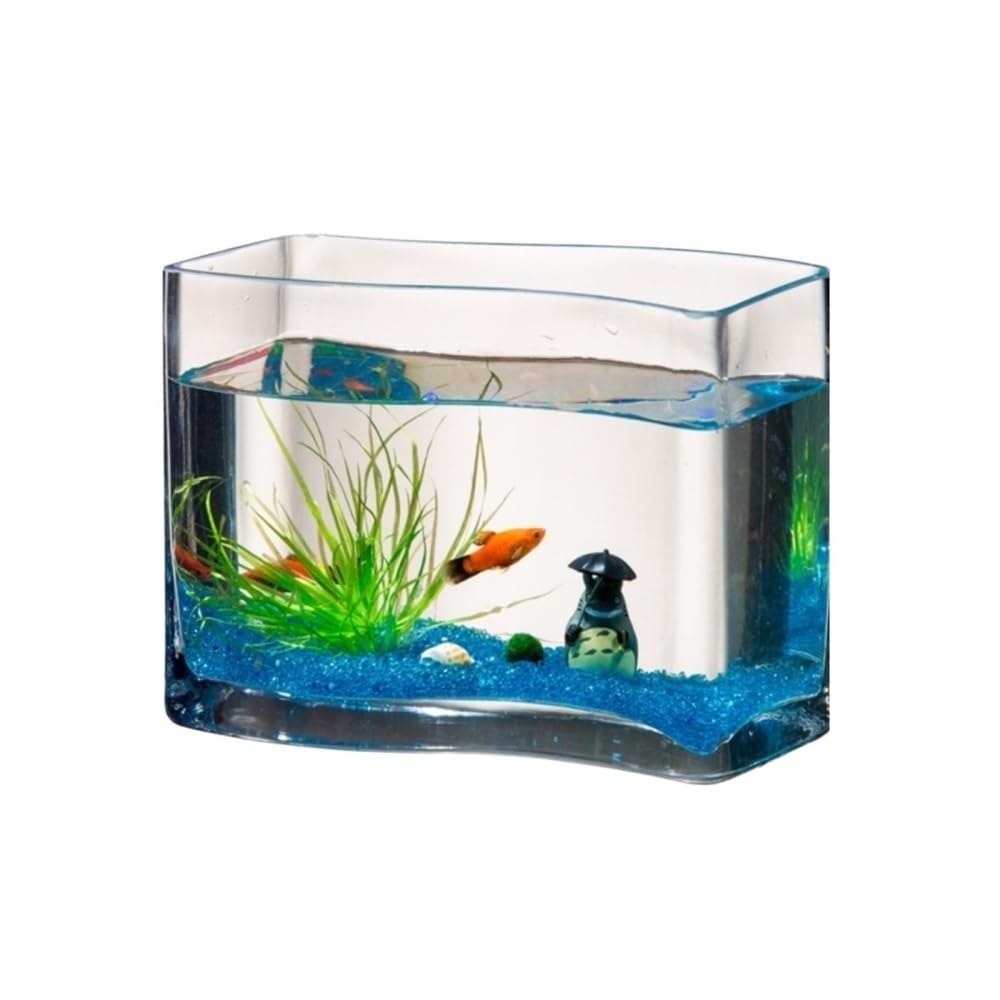 Aquarium S-förmiges, transparentes Glas-Goldfisch-Aquarium, tropisches Fisch-Mini-Aquarium for den Schreibtisch, Wohnzimmer-Aquarium