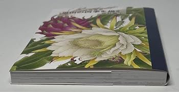 野村陽子　絵葉書集 里山の四季を描く Amazon.co.jp: 野村陽子 絵葉書集 里山の四季を描く : おもちゃ