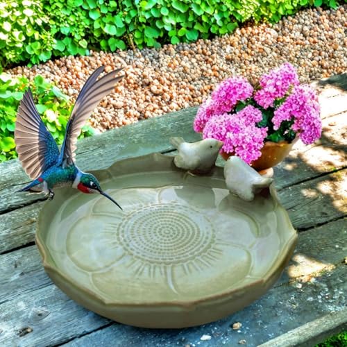 aunosit Bird Bath for Outside on Ground, 10 in Ceramic Birds Bath Bowl, Handmade Ground Bird Feeders and birdbath for Outdoors for Outdoors, Garden, Tabletop, Balcony and Lawn (Big - shallow)