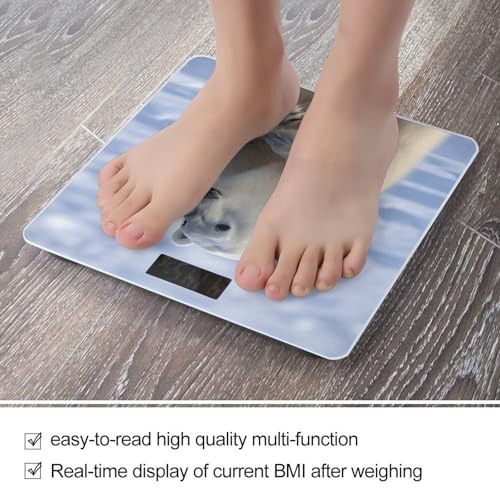 Báscula digital corporal Polar Bear con pantalla LCD grande miniatura 5