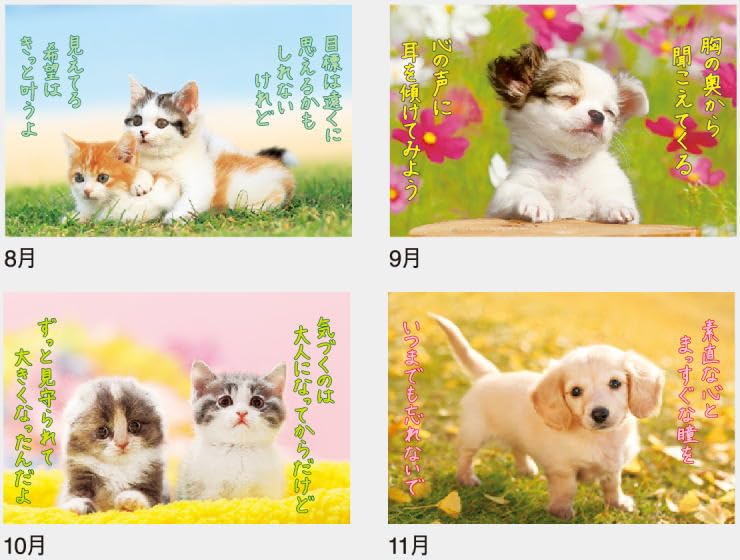 Amazon | カレンダー 壁掛け 犬 猫 すまいる 12ヵ月カレンダー