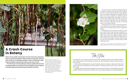 Growing Vegetables (The First-Time Gardener): All the Know-How and Encouragement You Need to Grow - And Fall in Love With! - Your Brand New Food Garden: 1 Paperback – Illustrated, 2 February 2021 - Image 4