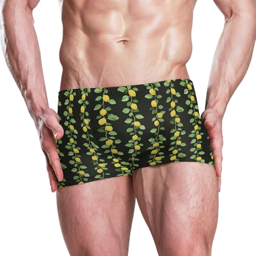 Lemon Fruit Summer Mens Swim Trunk Swimwear Bathing Suit Swim Brief Square Leg Board Short S B04036172