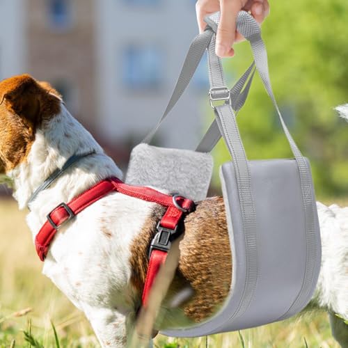 Harnais de soutien pour chien pour assistance de rééducation